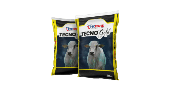 PECFORTE PROTEICO BEEF PREMIUM GP